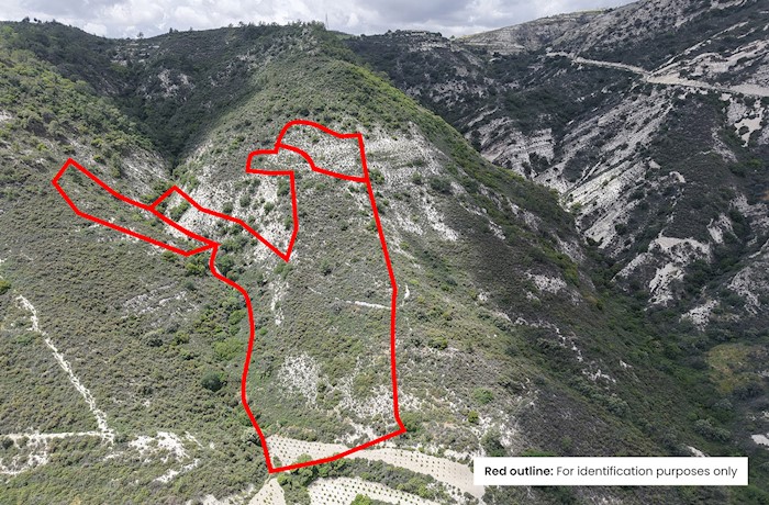 Άγιος Μάμας,Λεμεσός, Κύπρος