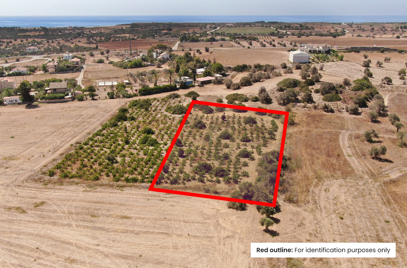 Residential Field in Mazotos, Larnaca 1/3