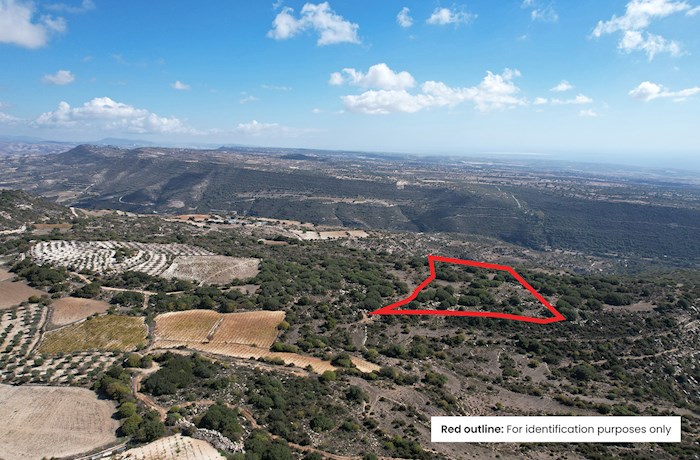 Dora, Limassol, Cyprus