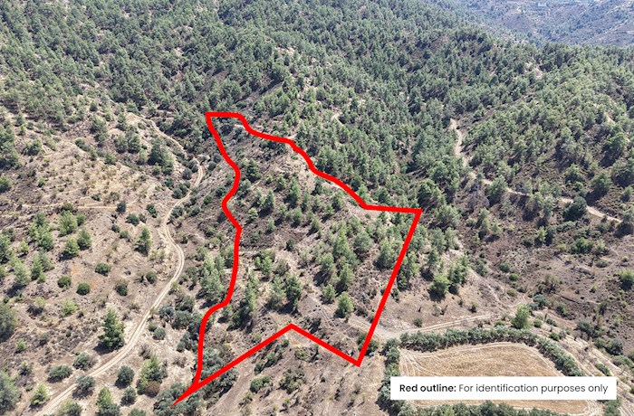 Agricultural Field in Gourri, Nicosia, Cyprus