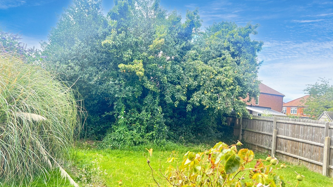 50 St Andrews Road, Felixstowe, IP11 7QJ