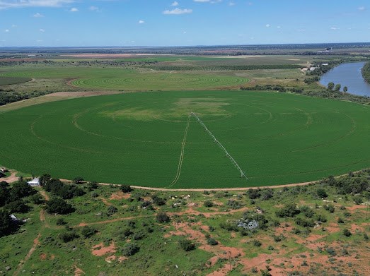 Harrisdale, Barkly West RD, Northern Cape, South Africa
