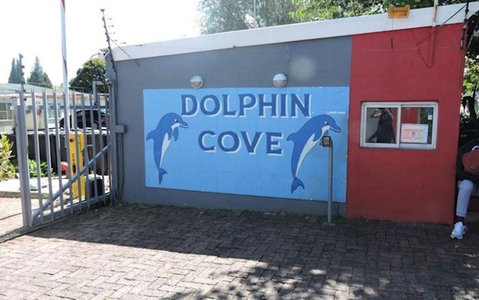 Dolphin Cove, Florida