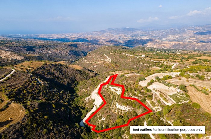 Field in Pano Akourdaleia, Paphos, Cyprus