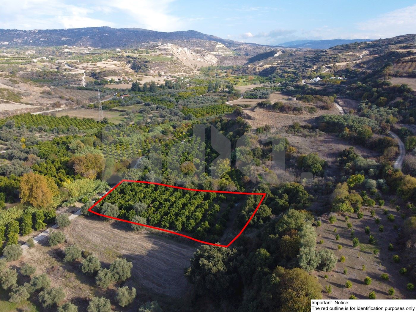 Residential field in Skoulli, Paphos 1/5
