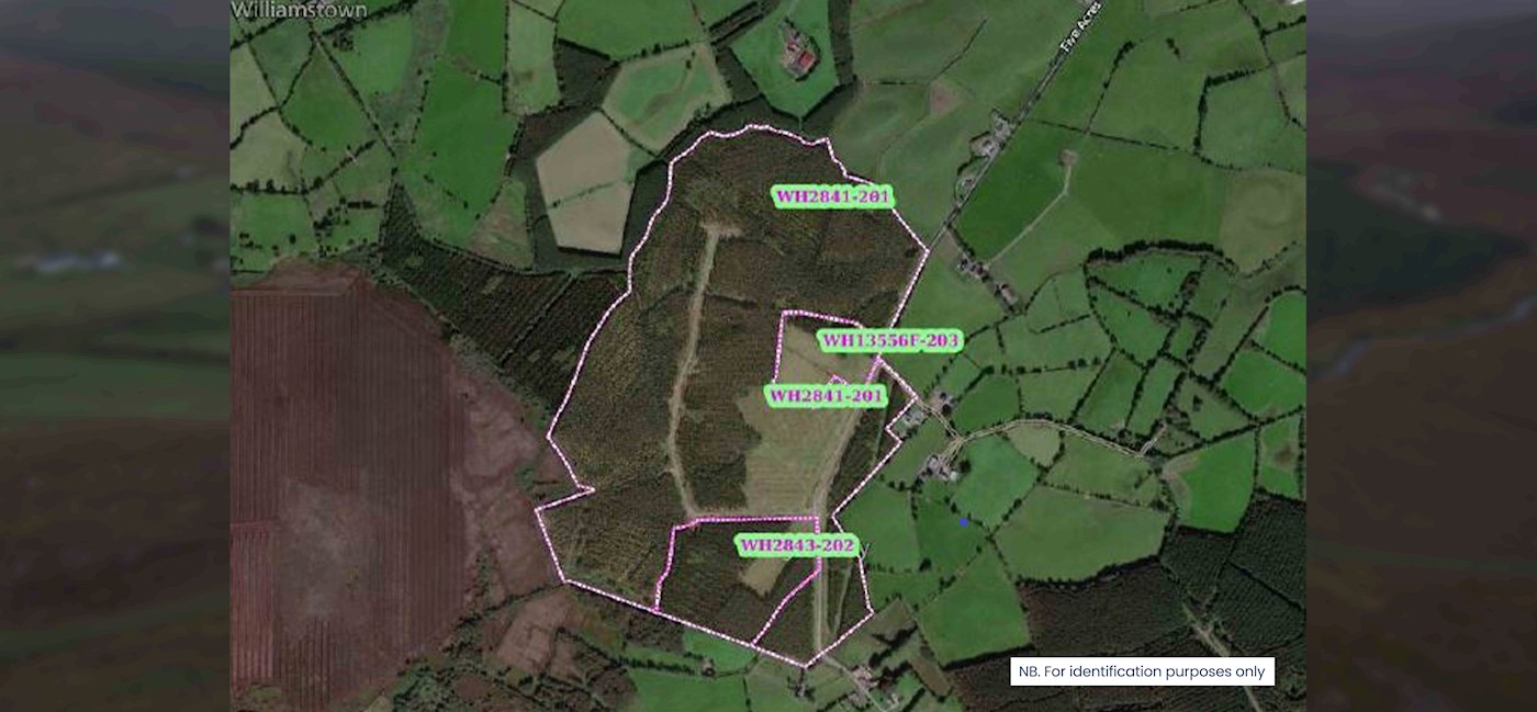 Portfolio of 1,400 acres of Forestry contained within Westmeath,  Longford and Donegal, Co. Westmeath, . 1/13