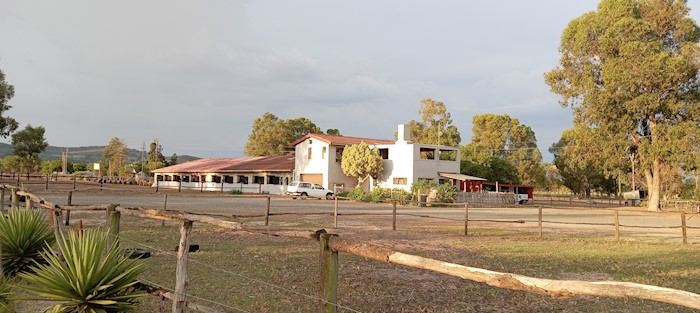 Kaleidoscope Stud and Stables, Cape Farms, South Africa