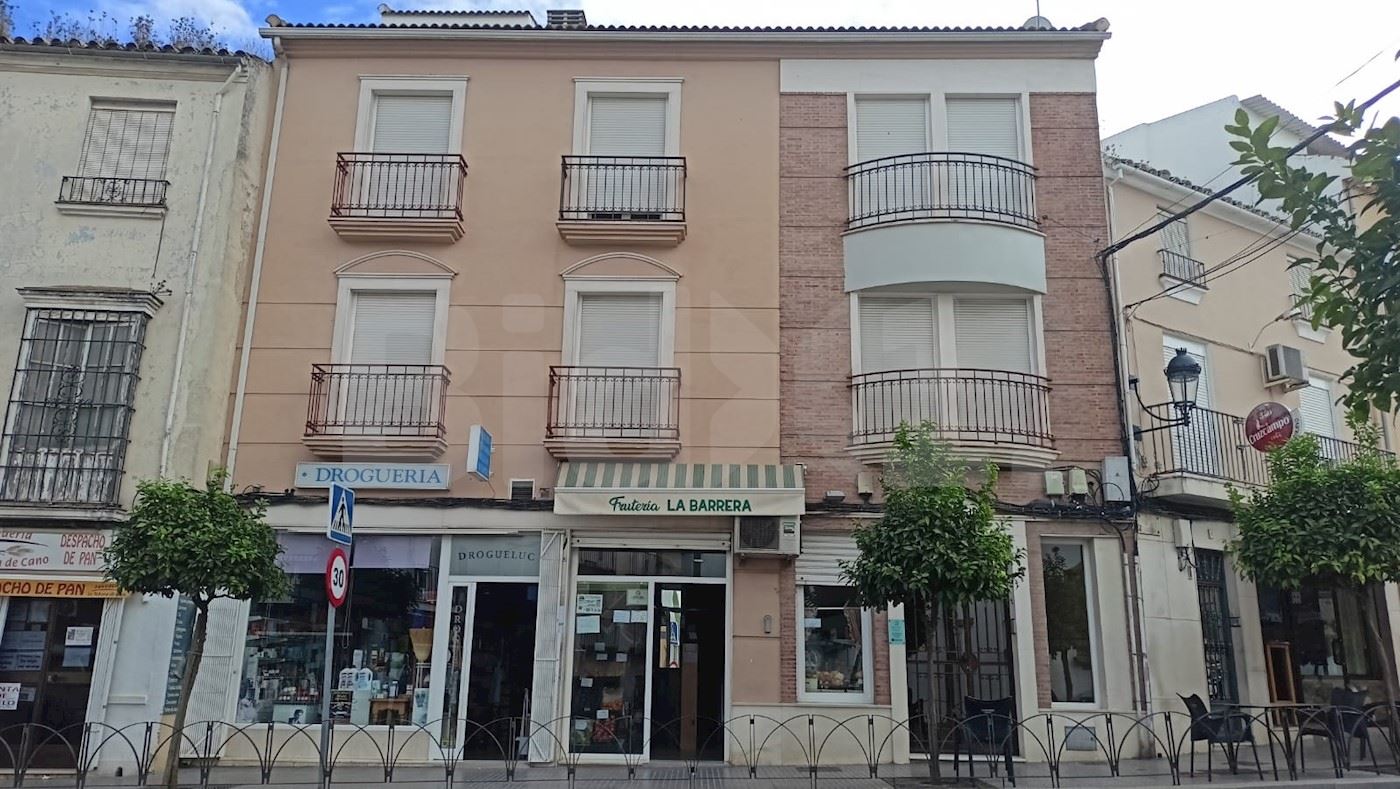 Calle La Feria, Lucena, Córdoba 1/39