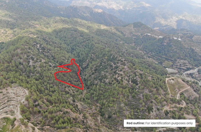 Agios Konstantinos, Limassol, Chipre