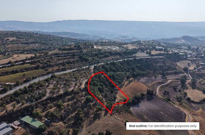 Σίμου, Πάφος, Κύπρος