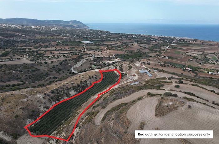 Πόλης Χρυσοχούς, Πάφος, Κύπρος