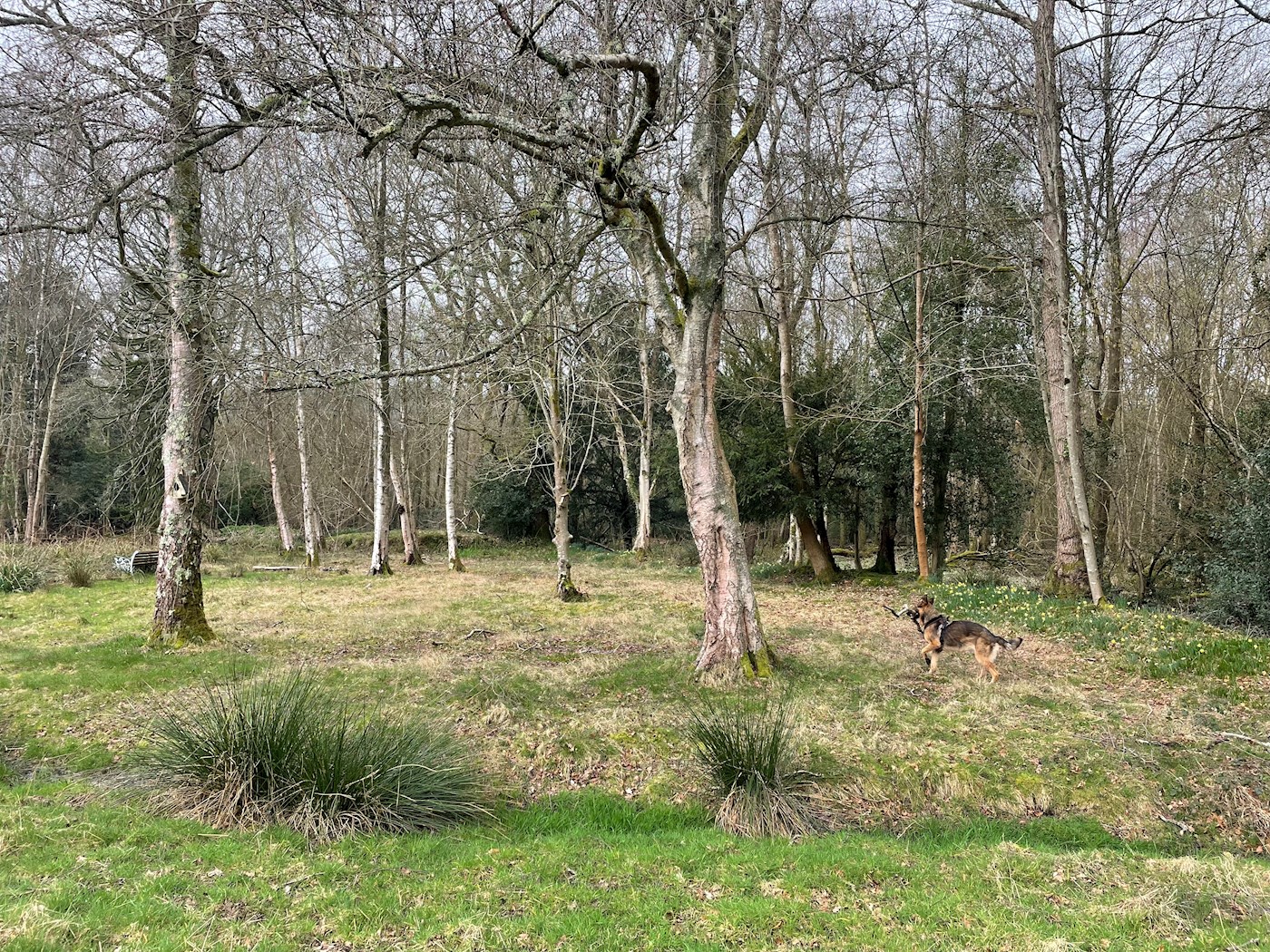 Brook Nook, Lake View Road, Felbridge, East Grinstead, RH19 2QF