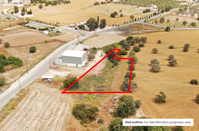 Αλεθρικό,Λάρνακα, Κύπρος