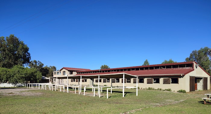 Kaleidoscope Stud and Stables, Cape Farms, South Africa