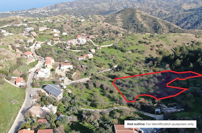 Pigenia, Nicosia, Cyprus