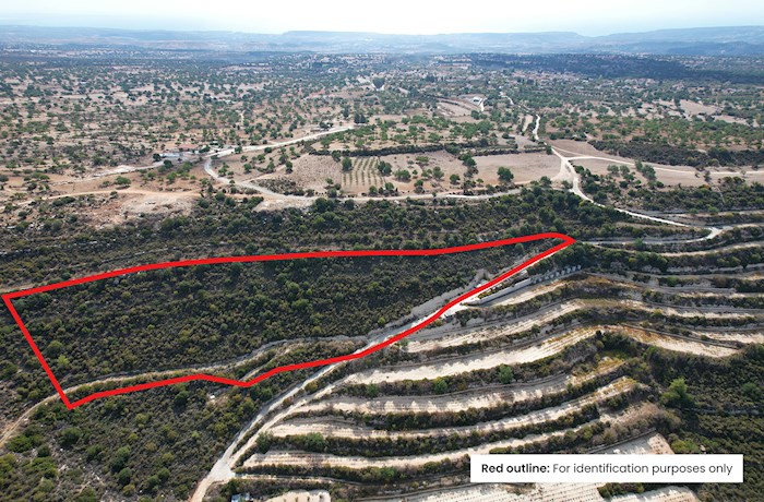 Anogyra, Limassol, Cyprus