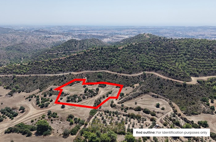  Kofinou, Larnaca, Cyprus