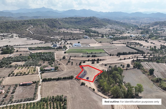 Πολιτικό,Λευκωσία, Κύπρος