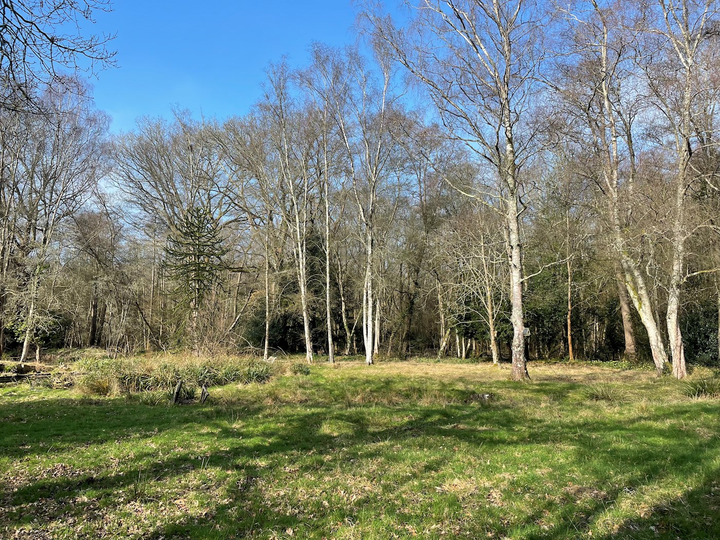 Brook Nook, Lake View Road, Felbridge, East Grinstead, RH19 2QF