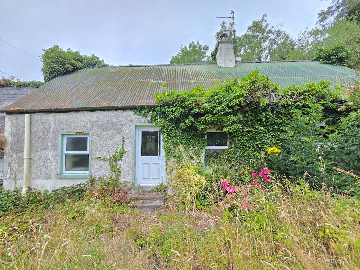Blakefield, Toomevara, Nenagh